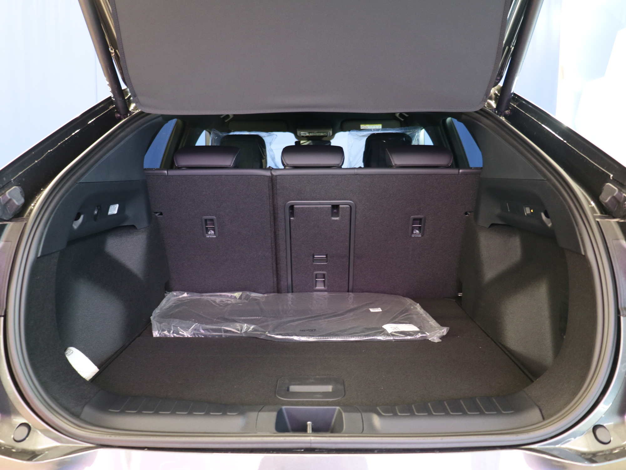 Ford Capri 2026, photo 7/23